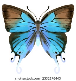 Vector watercolor illustration of realistic butterfly. Colorful image of tropical insect.