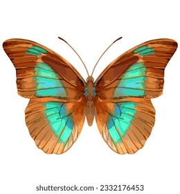 Vector watercolor illustration of realistic butterfly. Colorful image of tropical insect.