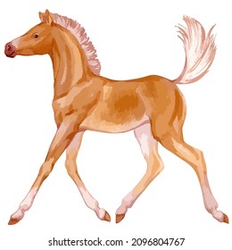 Vector watercolor illustration of running foal or baby horse.