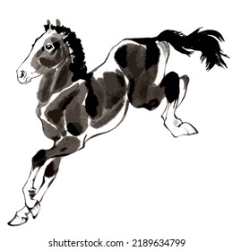 Vector watercolor illustration of running  horse, chinese ink and wash painting