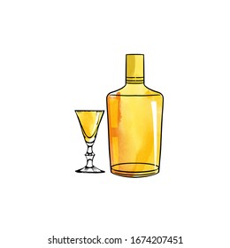Vector watercolor illustration set of liquors bottle and glass