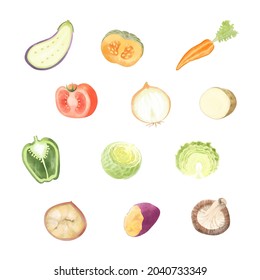 Vector watercolor illustration set of vegetable cross section