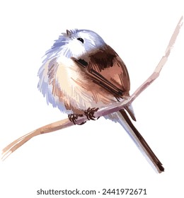 Vector watercolor illustration of small forest bird long-tailed tit.