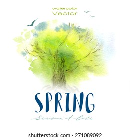 Vector watercolor illustration of a spring tree and birds