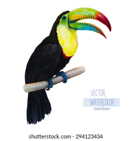 Vector watercolor illustration of toucan bird sitting sitting on a branch. Isolated on a white background