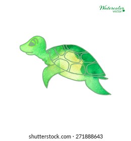 Vector watercolor illustration - turtle in cartoon style isolated on white background.