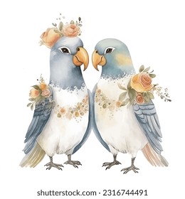 Vector watercolor illustration wedding bird parrot couple married with flowers colorful isolated on white background.