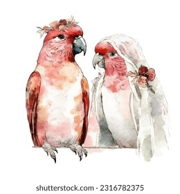 Vector watercolor illustration wedding bird parrot couple married with flowers colorful isolated on white background.