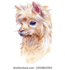 Vector watercolor illustration of young lama portrait.