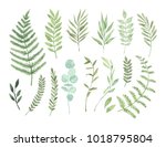 Vector watercolor illustrations. Botanical clipart. Set of Green leaves, herbs and branches. Floral Design elements. Perfect for wedding invitations, greeting cards, blogs, posters and more