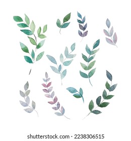 Vector watercolor illustrations. Botanical clipart. Set of Green leaves and branches. Floral Design elements. Perfect for wedding invitations, greeting cards, blogs, posters. Vector illustration