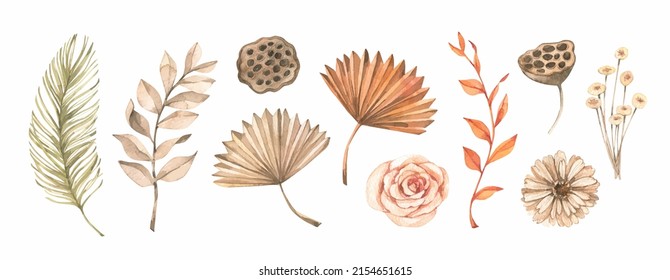 Ilustraciones de acuarela vectorial - hojas tropicales secas y flores y pampas suaves. Diseño floral botánico. Beige, verde, hojas de palmera anaranjadas. Perfecto para invitaciones de boda, empaque, tarjetas