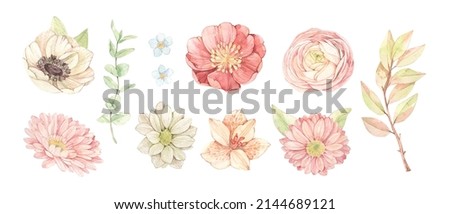 Vector watercolor illustrations - gentle flowers, leaves, eucalyptus, branches. Botanical design elements with Ranunculus, lilies, gerberas. Perfect for wedding invitations, packages, save the date
