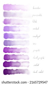 Vector watercolor image of multicolored shades. Strokes of watercolor paint pink and violet colors. Lavender, periwinkle, lilak, orchid, amethyst, iris, purple, dark purple, violet, dark violet