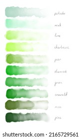 Vector watercolor image of multicolored shades. Strokes of watercolor paint green color. Pistacho, mint, lime, chartreuse, pear, shamrock, green, emerald, moss, pinc