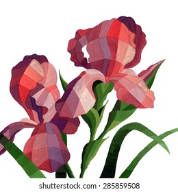 Vector watercolor iris flowers isolated on white background. Decorative red iris flower for your design.