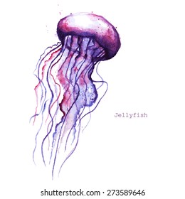 Vector watercolor jellyfish