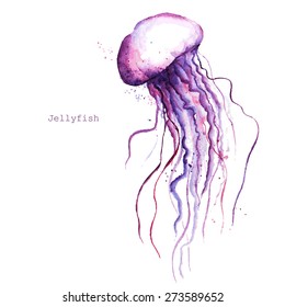 Vector watercolor jellyfish