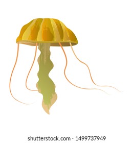 Vector watercolor jellyfish tropical, wildlife,