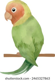 Vector Watercolor jungle green parrot on the branch. Illustration, template, design elements for greeting cards, invitation, gender party, baby shower, birthday, event, holiday, wedding card.