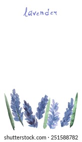 Vector watercolor lavender with blue bright watercolor ribbon.