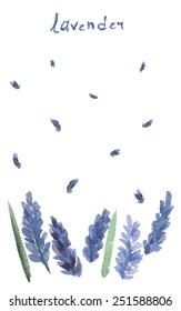 Vector watercolor lavender with blue bright watercolor ribbon.