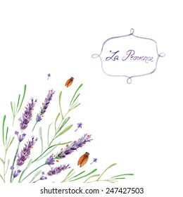 vector watercolor lavender. It can be used for card, postcard, cover, invitation, wedding card, mothers day card, birthday card.