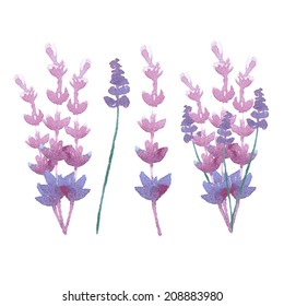 vector watercolor lavender delicate bunch set. pastel nature aromatherapy elements. herb garden plant