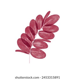 vector watercolor leave design on white background.