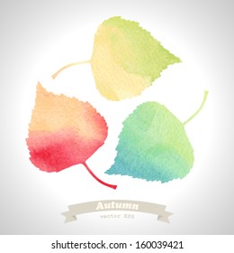 Vector watercolor leaves 