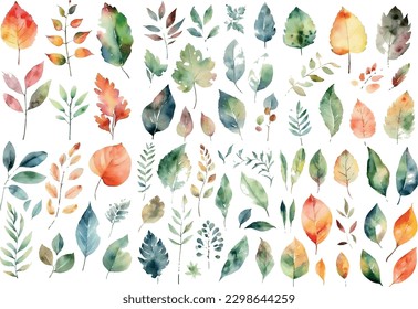 Vector watercolor leaves set. Wedding concept - leaves. Floral poster, invitation. Vector arrangements for greeting cards or invitations