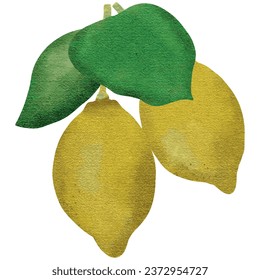 Vector watercolor of lemon branch for decorative.