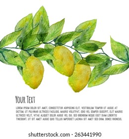 Vector watercolor lemon bush with leaves.  Artistic vector design for banners, greeting cards,sales, posters.