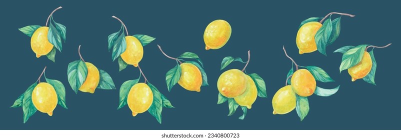 Juego de limón de acuarela vectorial.
Frutas de verano, cítricos. Colores jugosos