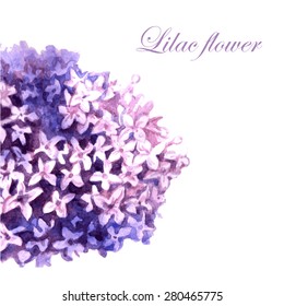 Vector watercolor lilac