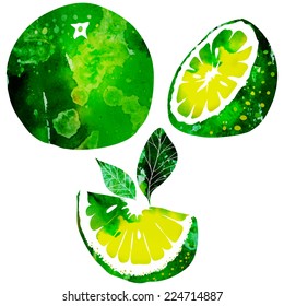 vector watercolor lime