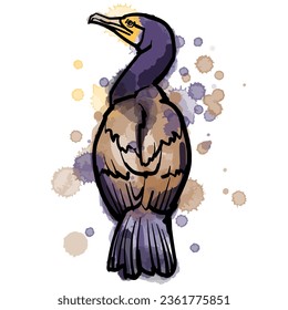 Vector watercolor and line art illustration of great cormorant.