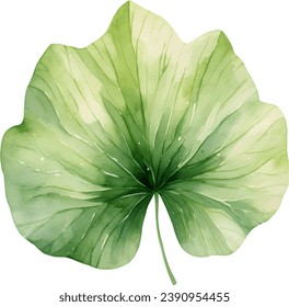 Vector Watercolor Lotus Leaf Clipart