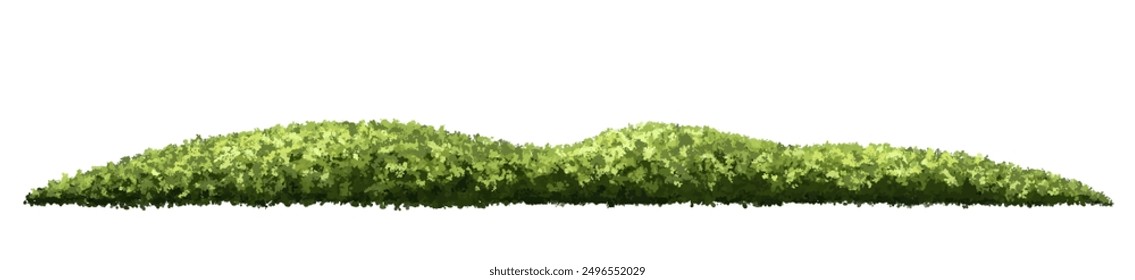 Vector watercolor of meadow side view isolated on white background for landscape and architecture drawing, elements for environment and garden, painting botanical for section