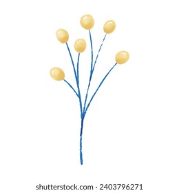 Vector watercolor mimosa illustration on white background.