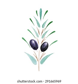 vector watercolor olive branch. It can be used for card, menu, recipe.