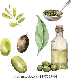 Vector Acuarela de ingredientes de aceite de oliva, Clipart. Botella de aceite de oliva, rama de oliva, negro, verde oliva. Ilustraciones para cocina creativa, invitación, tarjetas de felicitación, cumpleaños, evento, vacaciones.