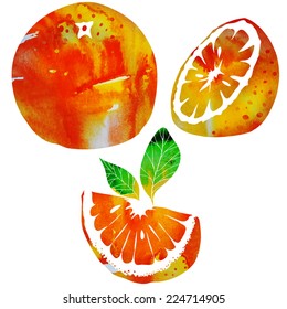 vector watercolor orange