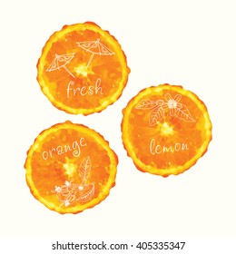 Vector watercolor orange slices and hand drawn doodle elements. Hand painted circles collection.