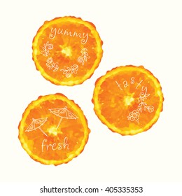 Vector watercolor orange slices and hand drawn doodle elements. Hand painted circles collection.