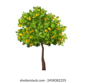 Vector watercolor orenge tree,green tree side view isolated on white background for landscape and architecture drawing,elements for environment or garden,botanical element for exterior section