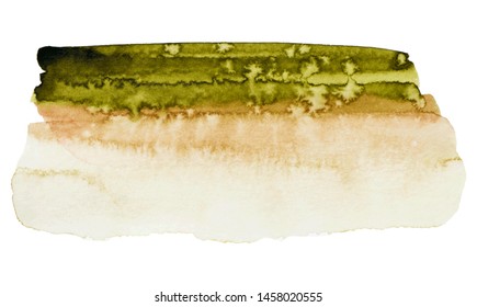 Vector watercolor paint texture isolated on white