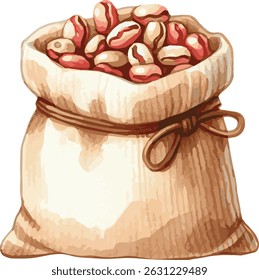 Vector watercolor painted illustration of a bag of beans