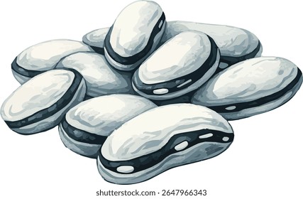 Vector watercolor painted illustration of black and white beans



