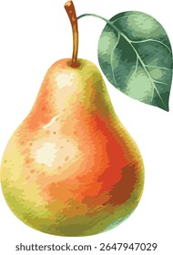 Vector watercolor painted illustration of a pear